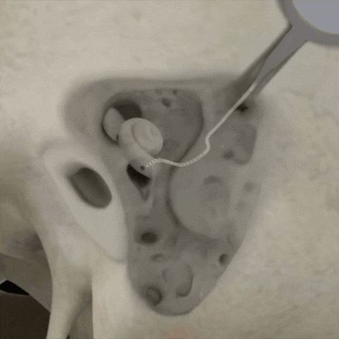 Dynamic Page Random Assets (7).gif