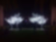 Thumbnail: Cherry Trees 3.5M