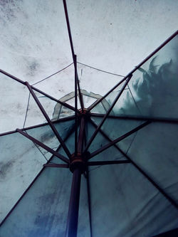 Cielo Araña