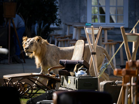 En mode « OUT OF AFRICA »