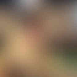 B-Events organise la convention annuelle des Responsables Magasins Castorama. 330 participants, 2 jours, thème "Osons" et bilan carbone maîtrisé : 19 tonnes CO2e.