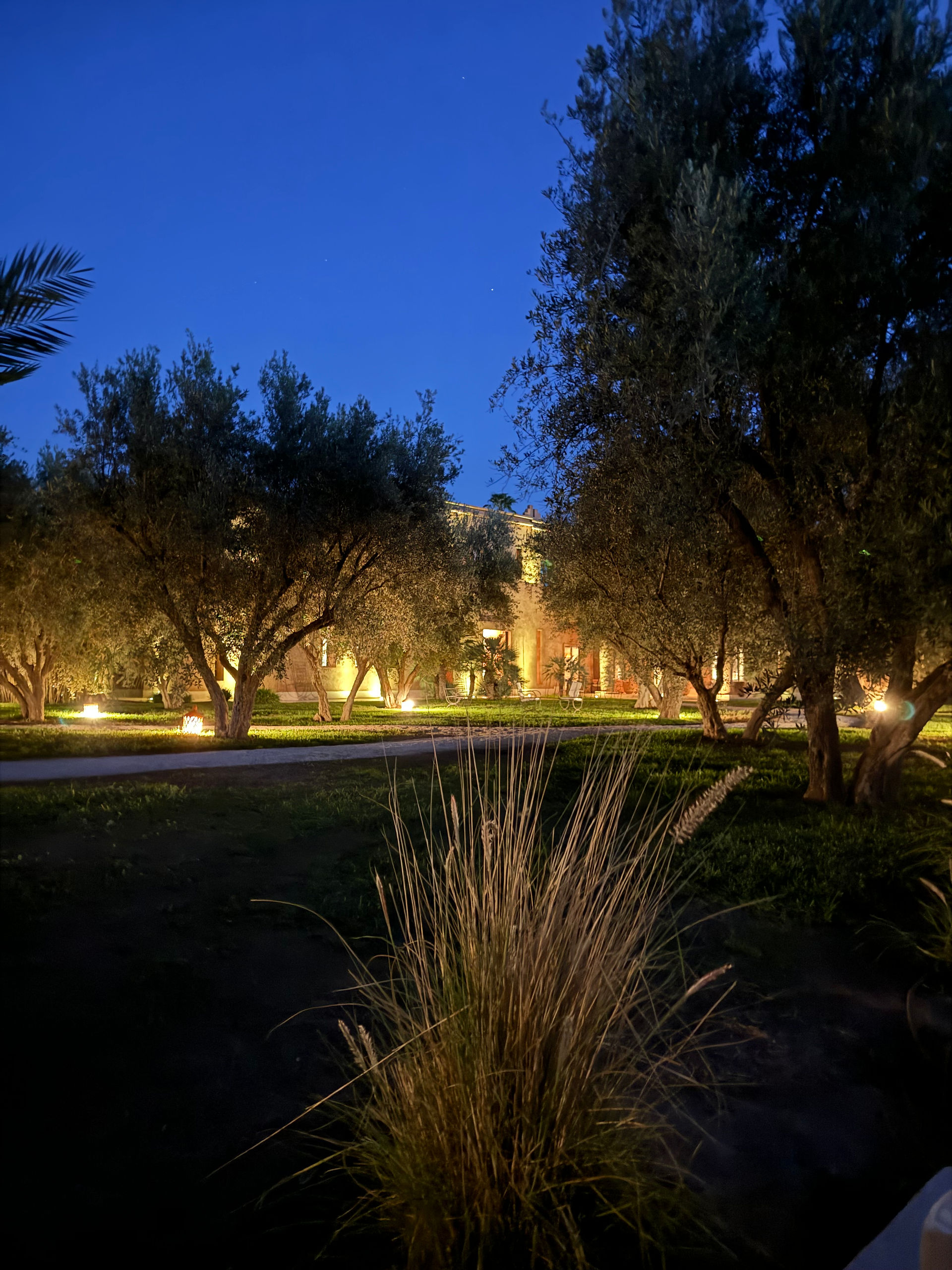 B-Events organise votre séminaire à Marrakech. Hôtels de luxe, activités team-building, gastronomie marocaine. Une expérience inoubliable pour vos équipes.
