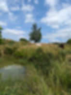 PXL_20240617_141624966