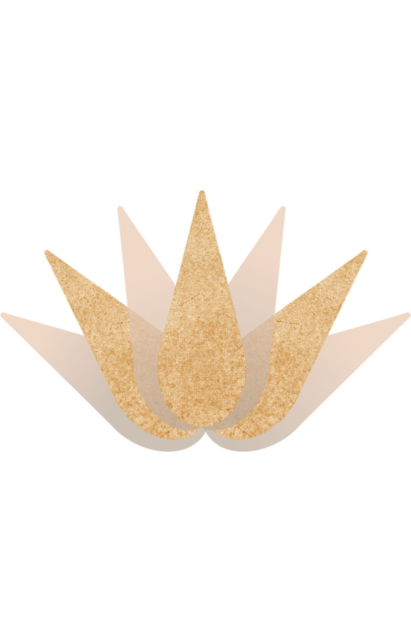 Thumbnail: The Ultimate Guide To Brow Mapping