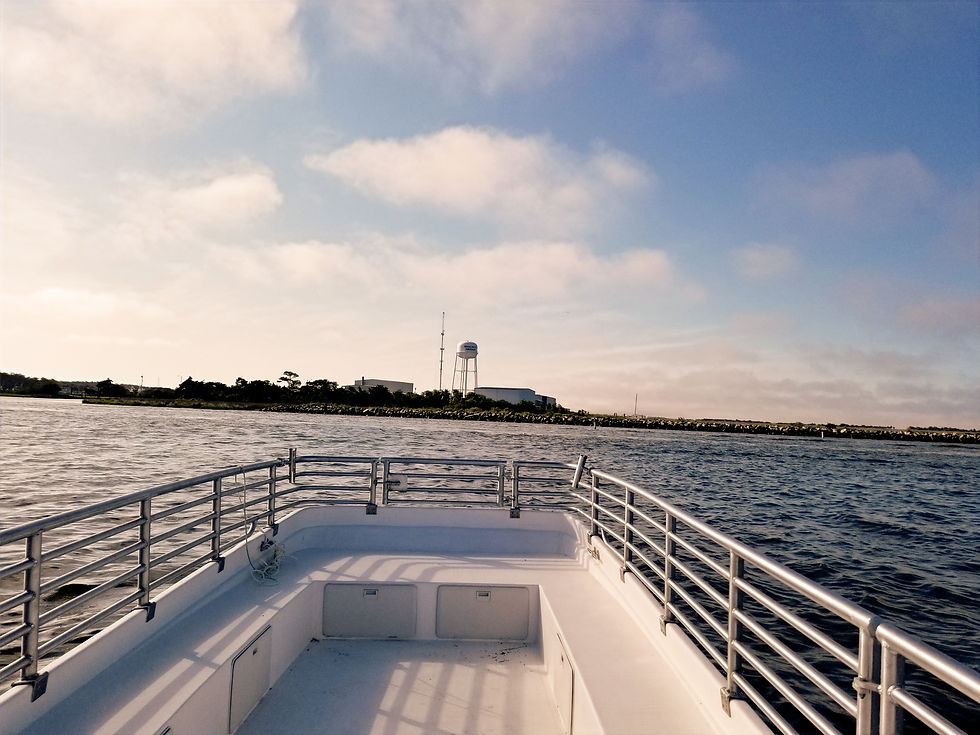 View of Wanchese harbor from the Miss Allison