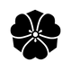 Dark No Background.png