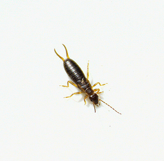 DSC_0115_edited_edited.jpg