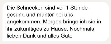 Screenshot (3155).png