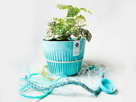 Plant pots made from recycled ocean plastics. Reducing plastic in our oceans