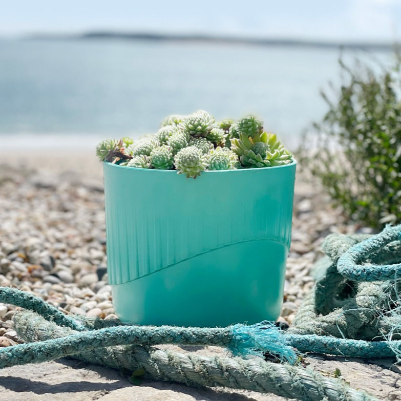 Thumbnail: Recycled Ocean Plastic Plant Potr in Aqua Colour by Ecotribo sat on a beach with fishing ropes