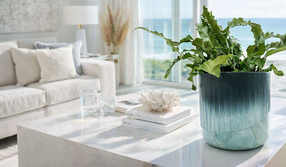 Sustainable Ecotribo Planters made from recycled ocean plastic