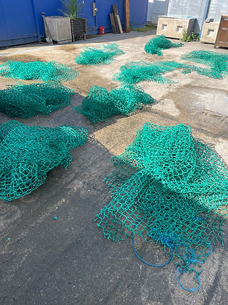 Processing and cleaning ghost nets