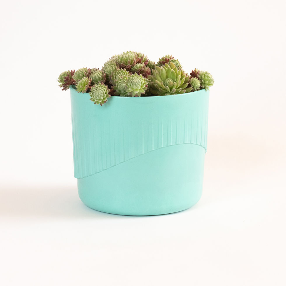 Thumbnail: Recycled Ocean Plastic Plant Potr in Aqua Colour by Ecotribo with succulent