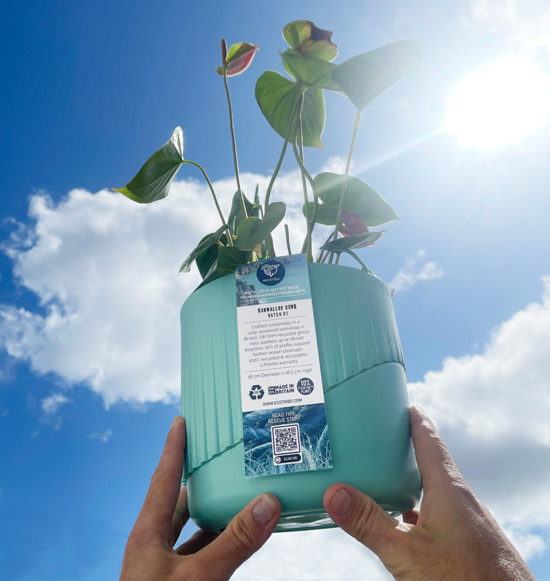 Thumbnail: Recycled Ocean Plastic Plant Potr in Aqua Colour by Ecotribo in home setting