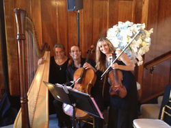 Harp, Violin, Cello Trio