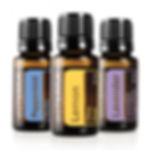 doTERRA Beginners Essential Oils Trio