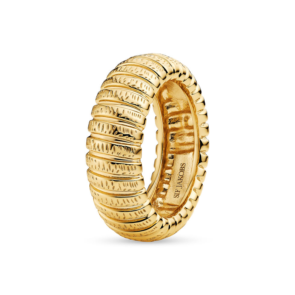 Miniaturbild: Ring Riva