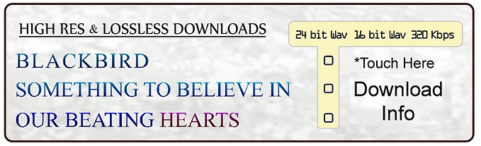 Download Button 250 ppi png - Bold Touch Here - enlarged-inverted WAV file info 7-30-22.pn