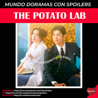 THE POTATO LAB