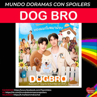 DOG BRO