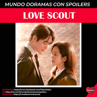 LOVE SCOUT