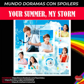 YOUR SUMMER, MY STORM