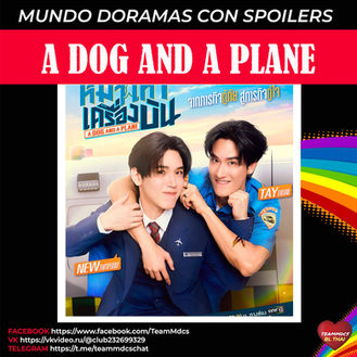 A DOG AND A PLANE