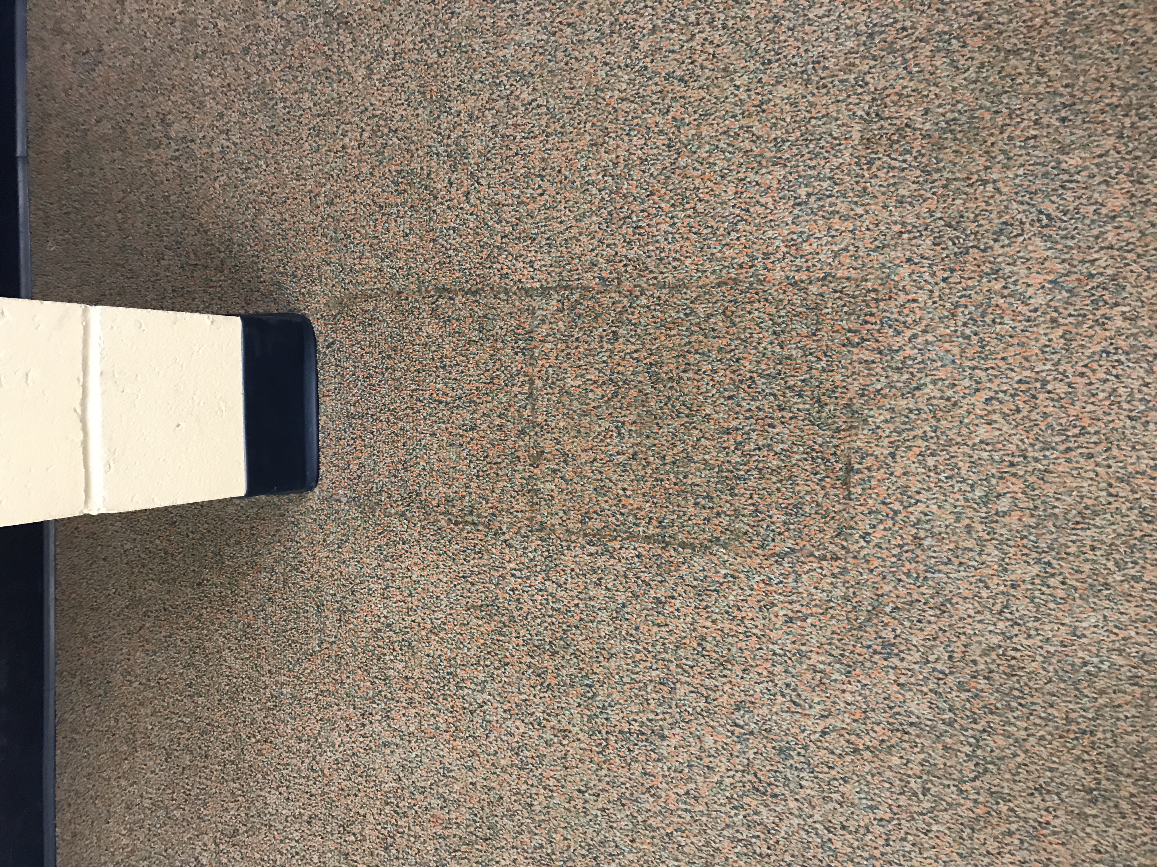 Old & Worn Carpet