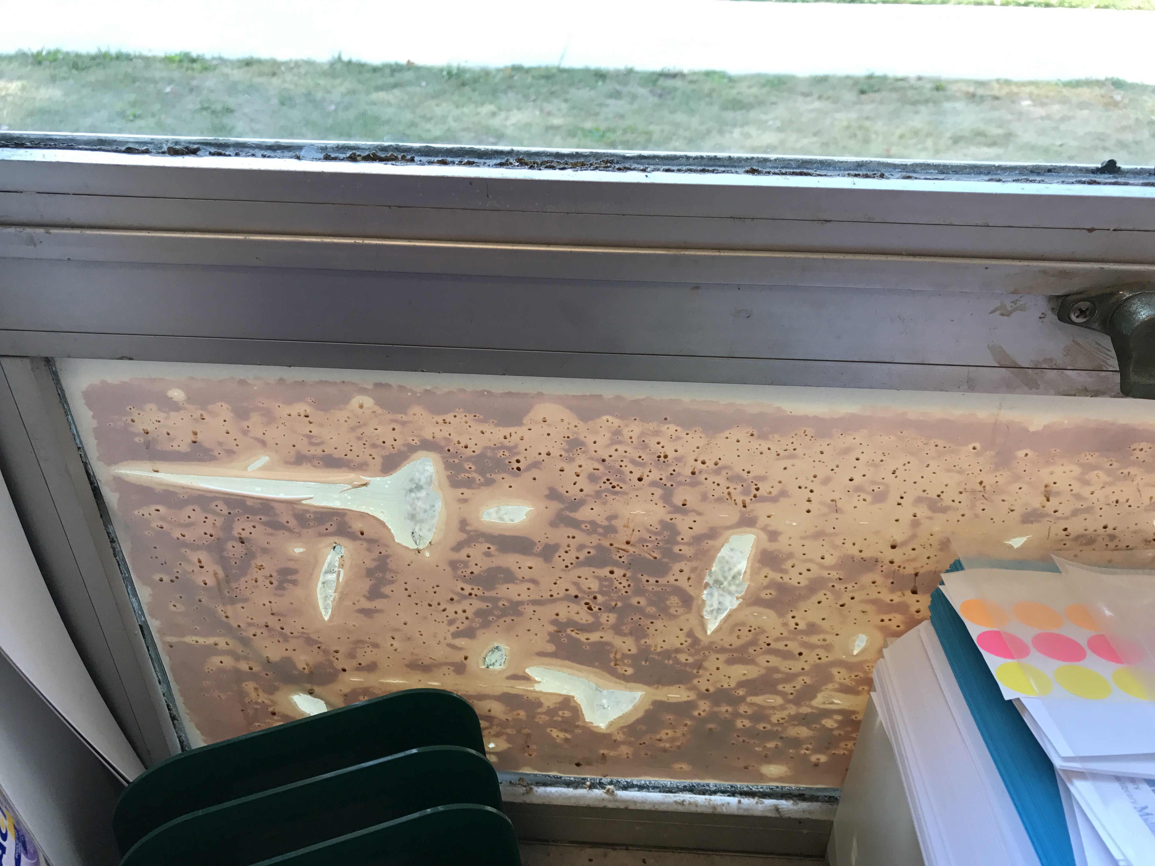 Old Windows