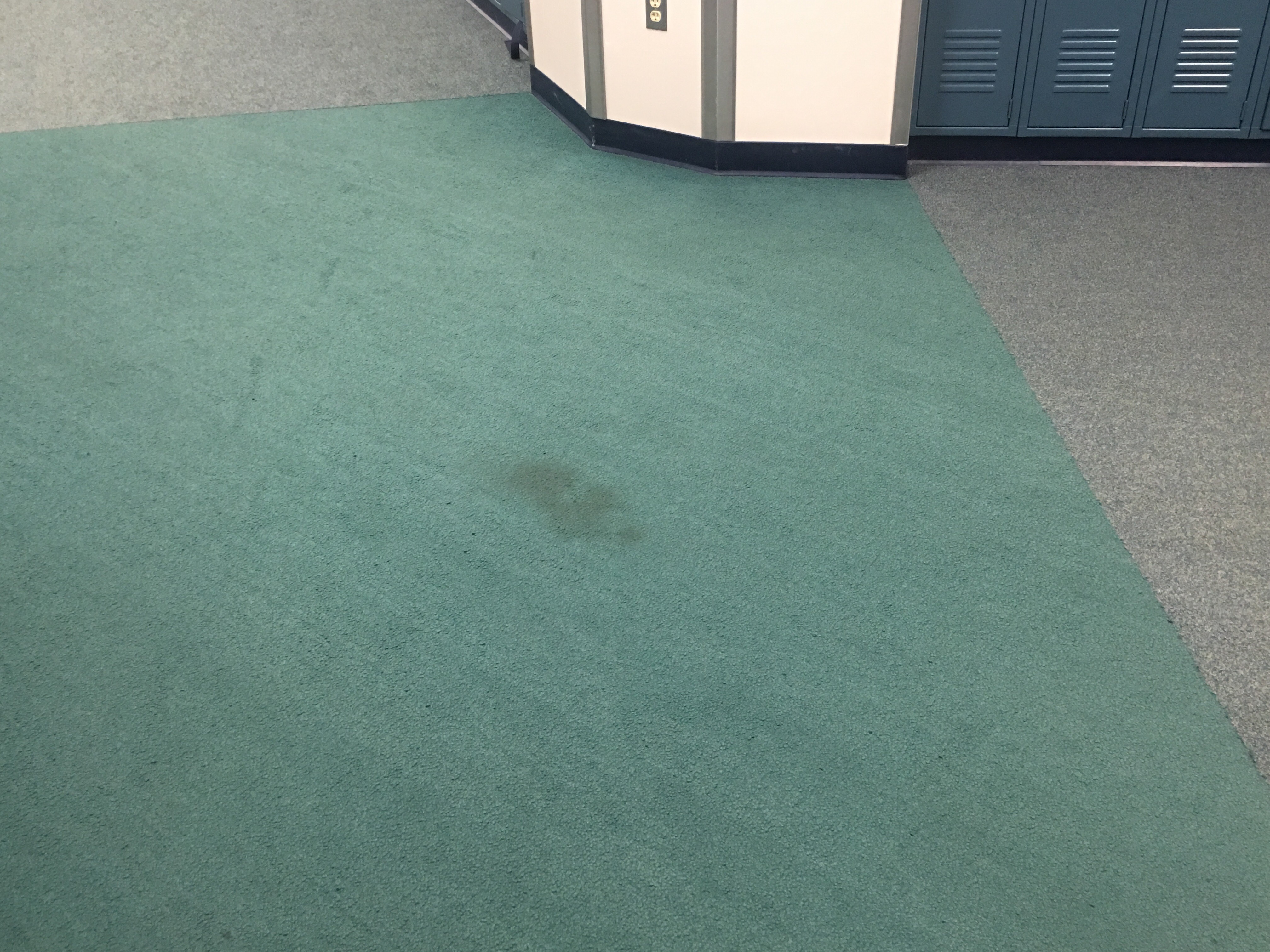 Stained & Worn Carpet