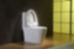 Thumbnail: HLC Toilet