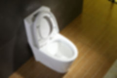 HLC Dual Flush Toilet
