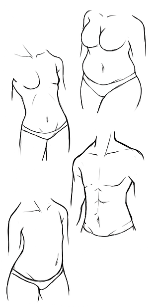 serenian body types.png