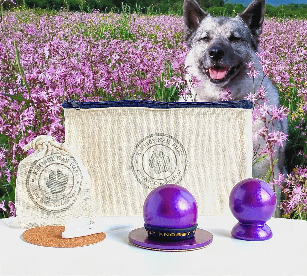 Home Knobby Nail Files