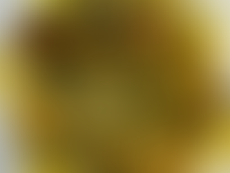 Chicken Piccata with Homemade Noodles