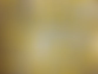 Egg Dough for Homemade Pasta