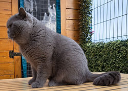 2023-01-25-Ocean-(1)