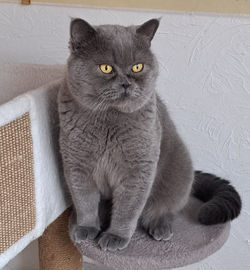 2022-12-13-Ocean-(1)