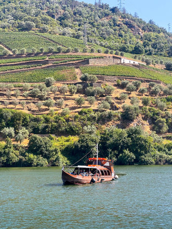 Douro Valley tour