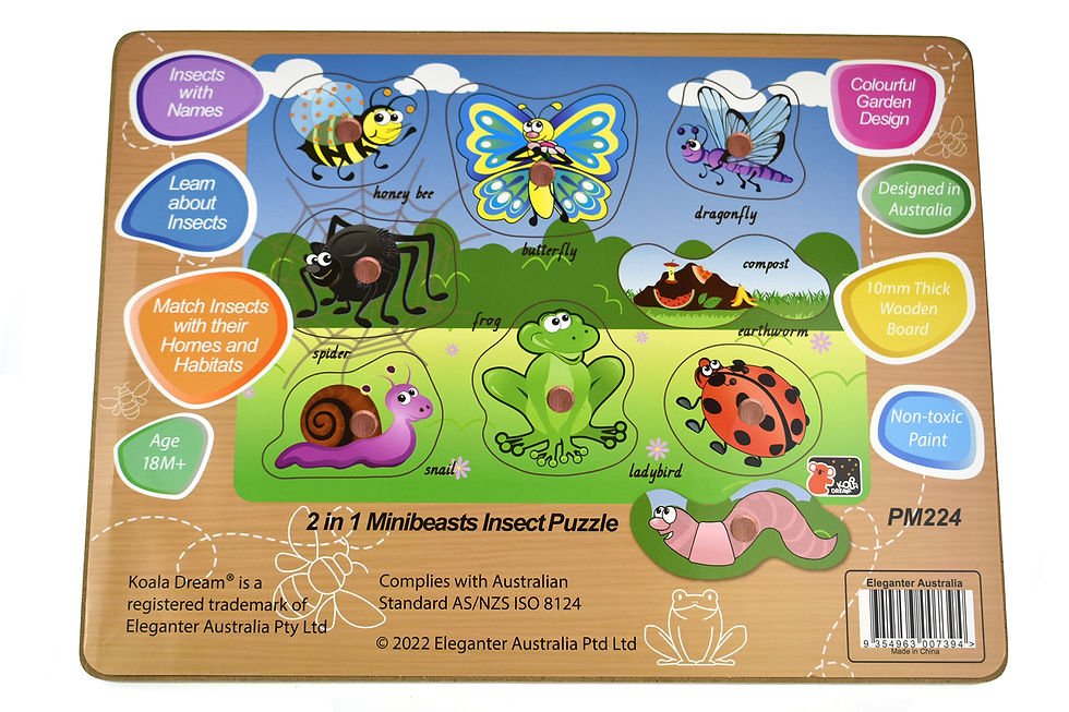 Thumbnail: 2 in 1 Minibeasts Insect Peg Puzzle