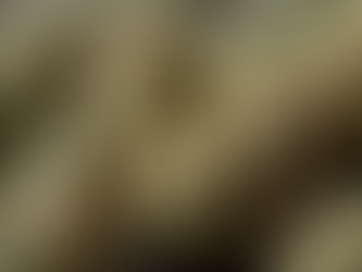 The Evolving Potency of Cannabis and Its Role in Shaping Mental Health Awareness