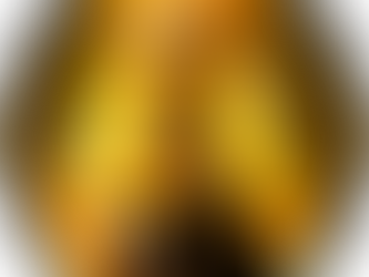 Explora el Amor y el Deporte en el Epicentro de los Juegos Olímpicos