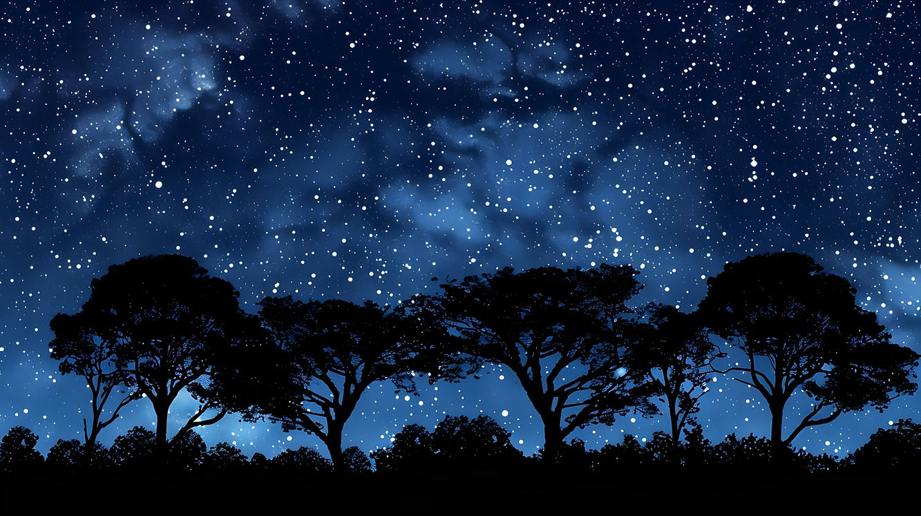 stars.jpeg