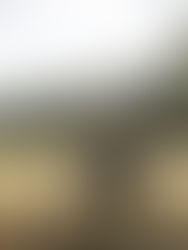 Jak budovat psychickou odolnost dítěte v době sociálních sítí