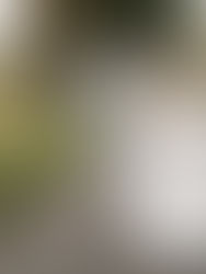 Naše romantická svatba ve stodole