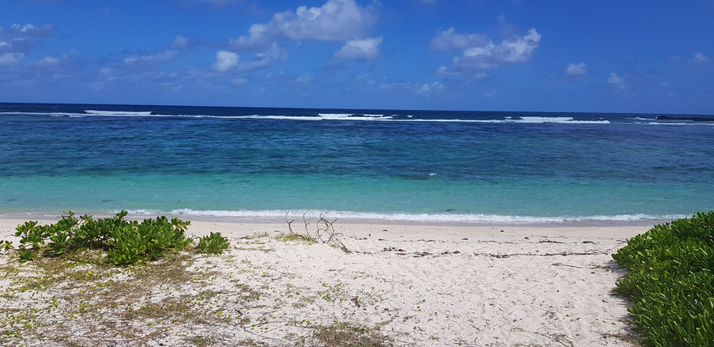 Is Mauritius worth visiting?