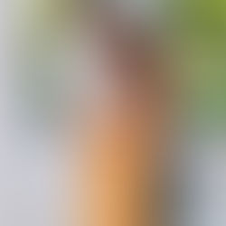Kolik stojí profesionální fotograf v Praze a Liberci a co určuje jeho cenu?