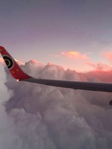 6 steps to plan your next trip