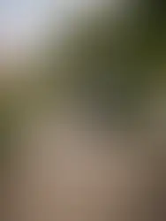 Když si připadáš jako špatná máma, jsi vlastně ta nejlepší