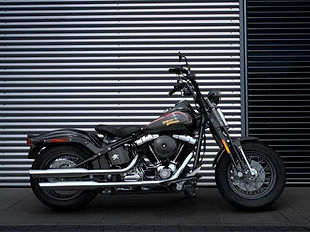 2009-cross-bones.jpg